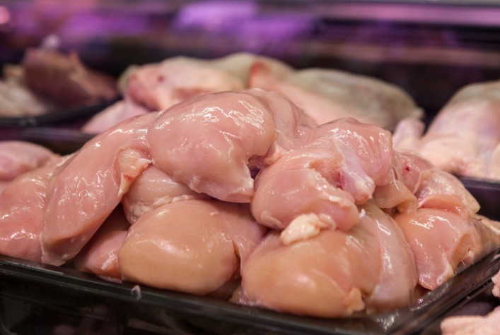 Mercado de Frango no Centro-Sul do Brasil Segue Estável, mas Alta é Esperada no Curto Prazo