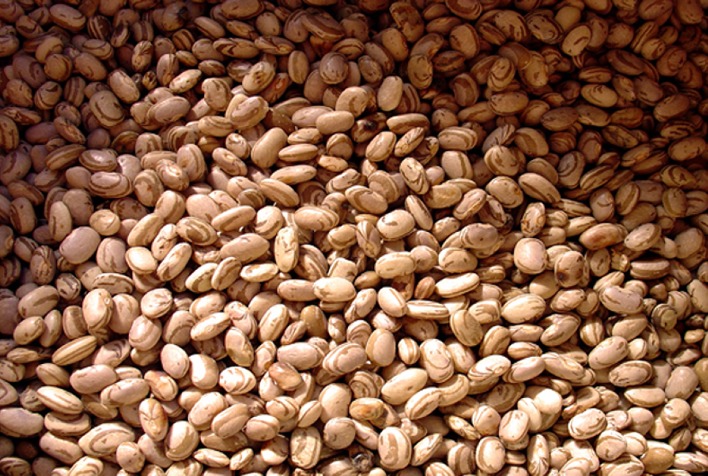 Com menor demanda, preços do feijão caem em novembro, aponta Cepea