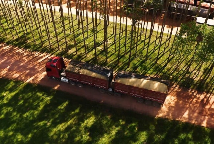 Início da colheita da soja impulsiona alta dos fretes agrícolas em todo o país, aponta Conab