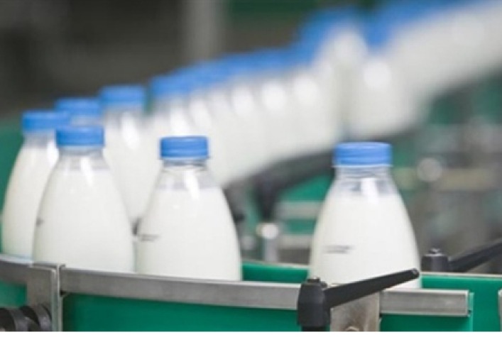 Exportações brasileiras de lácteos avançam quase 30% em fevereiro, aponta boletim do IMEA