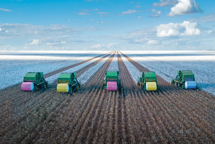 Rabobank projeta queda nos preços do algodão com recomposição dos estoques globais no AgroInfo Q1 2026