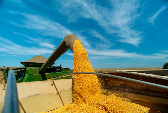 Etanol de milho impulsiona economia e consolida Mato Grosso como líder nacional