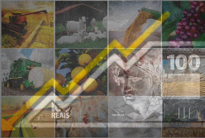 Preço ao produtor agropecuário cai 9,79% no 1º trimestre de 2026, aponta IPPA/Cepea