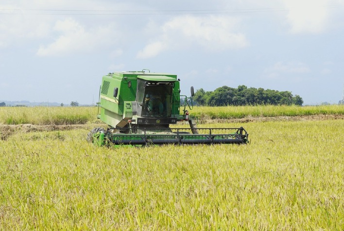 Crise no Estreito de Ormuz encarece insumos e ameaça produção de arroz em Santa Catarina