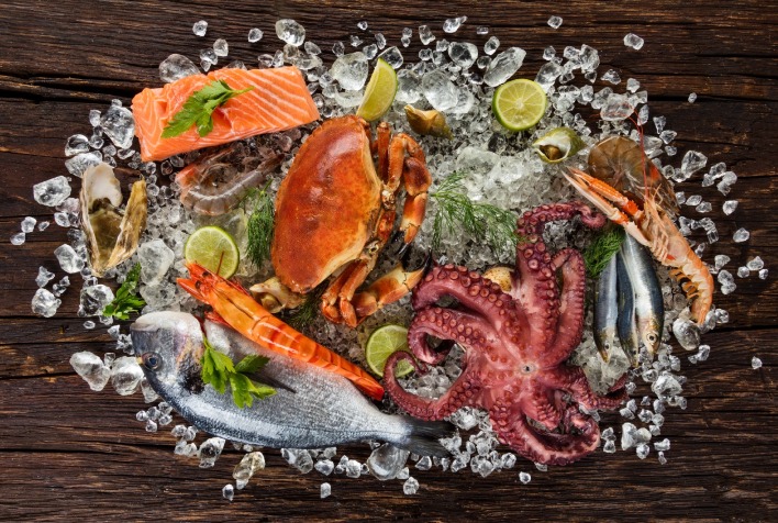 Exportações do Chile para o Brasil somam US$ 897 milhões em 2026 e têm salmão, vinhos e frutas como destaques