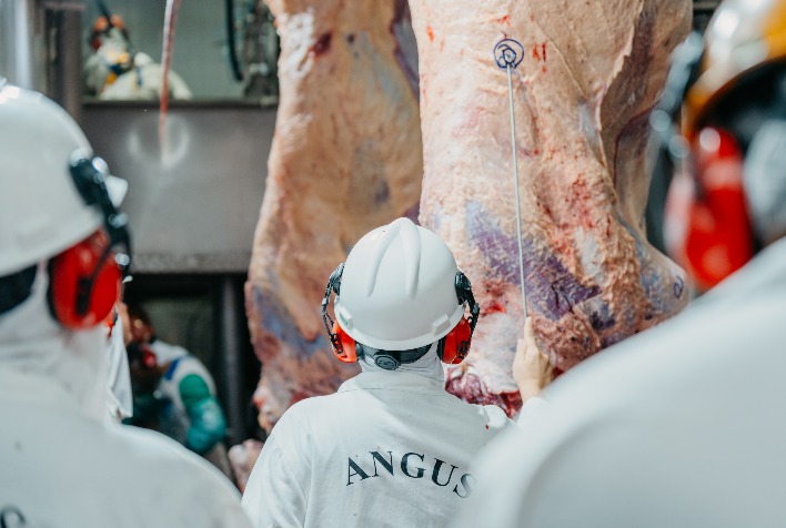 Mato Grosso bate recorde histórico no abate de bovinos em 2026 e confirma nova fase da pecuária de corte