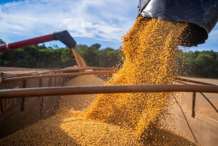 Mercado da soja segue travado no Brasil com produtor retraído, Chicago sem força e clima favorável nos EUA pressionando preços