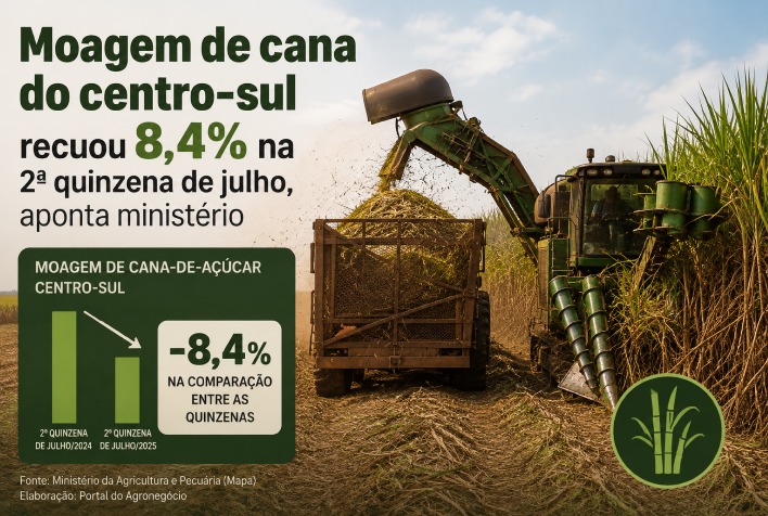 Moagem de cana cai 8,4% no Centro-Sul, açúcar recua 17,6% e produção de etanol avança