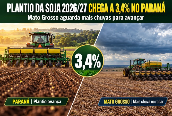 Plantio da soja 2026/27 avança no Paraná e aguarda chuvas em Mato Grosso