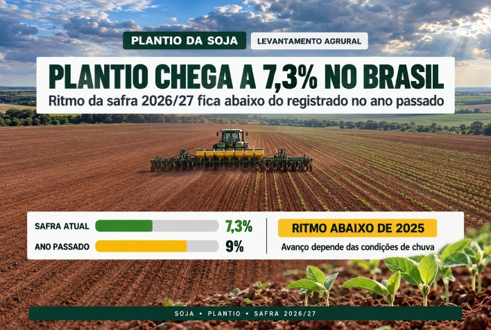 Plantio de soja em Mato Grosso e Brasil fica abaixo do ano passado
