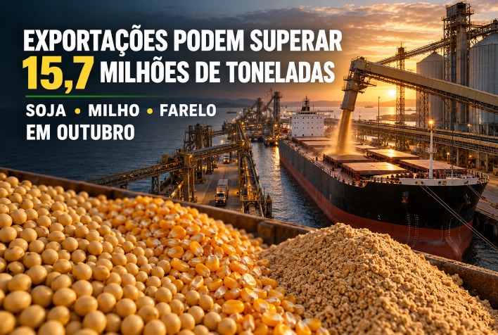 Exportações de soja, milho e farelo podem superar 15,7 milhões de toneladas em outubro, aponta ANEC