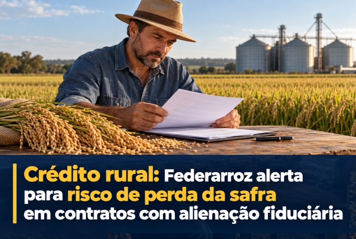 Crédito rural: Federarroz alerta para risco de perda da safra em contratos com alienação fiduciária