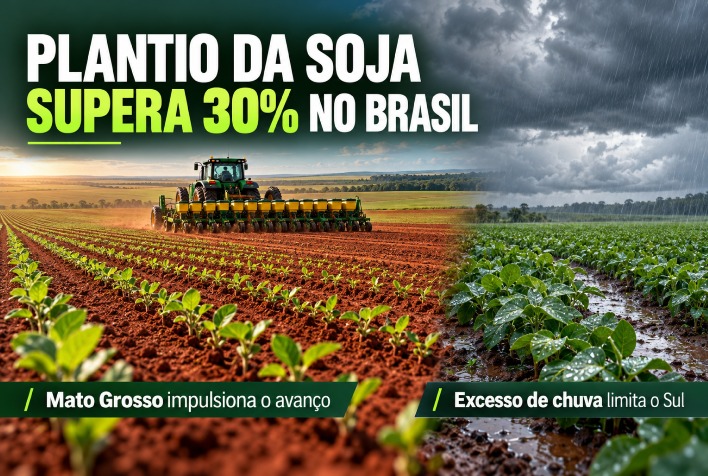 Plantio da soja supera 30% no Brasil com avanço em Mato Grosso; excesso de chuva limita o Sul