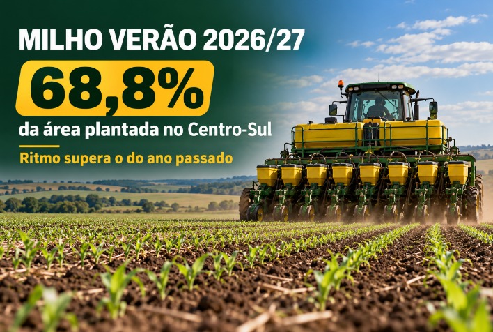 Plantio do milho verão 2026/27 chega a 68,8% no Centro-Sul e supera ritmo do ano passado