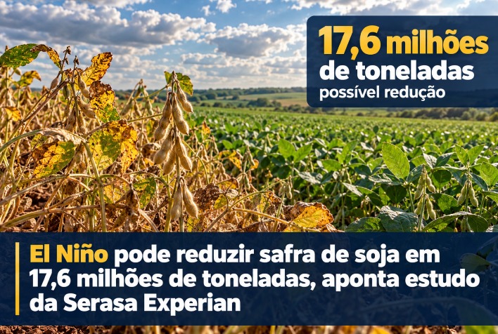 El Niño pode reduzir safra de soja em Mato Grosso, aponta estudo
