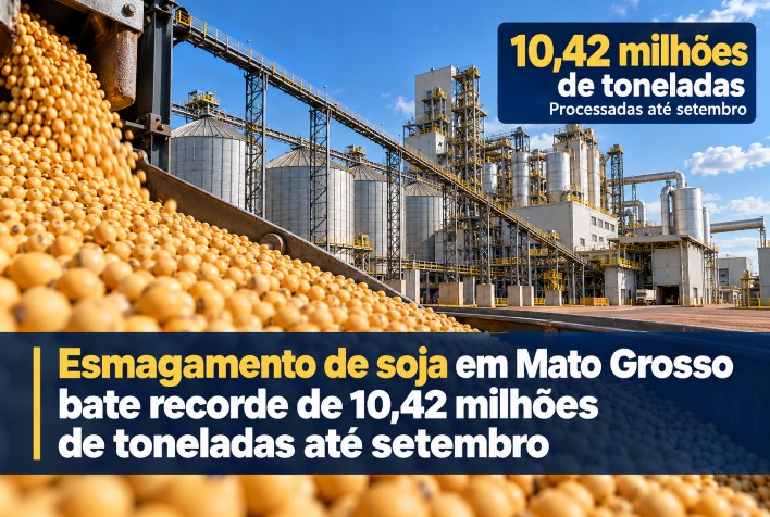 Esmagamento de soja atinge recorde de 10,42 milhões de toneladas em Mato Grosso