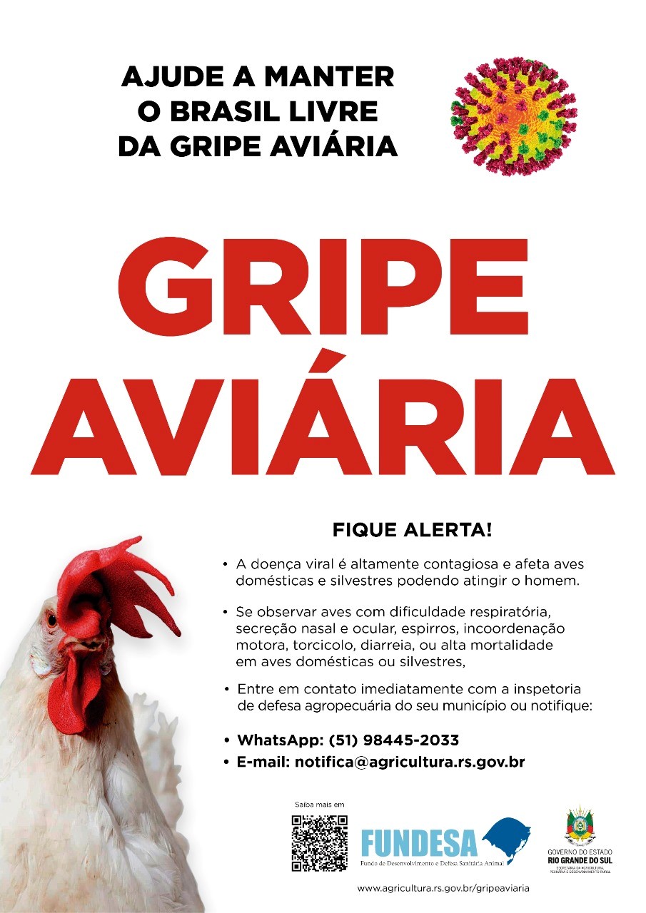 gripe-aviaria-fundesa