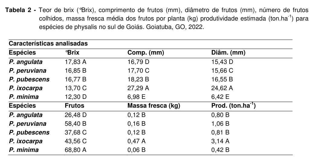 fruta-physalis-tab