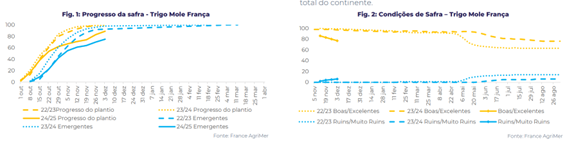trigo-perspectivas-hdgm24