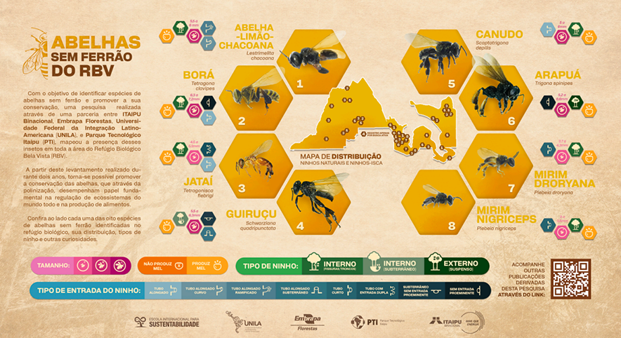 240312-refugioabelhas-infografico-2