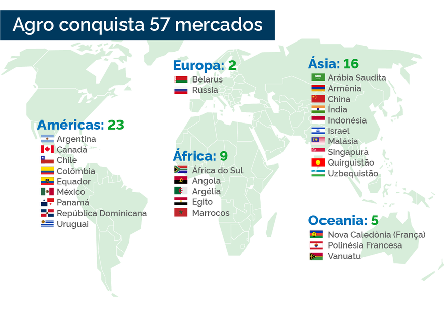 infografico-mercado
