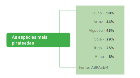 pirataria-info-1