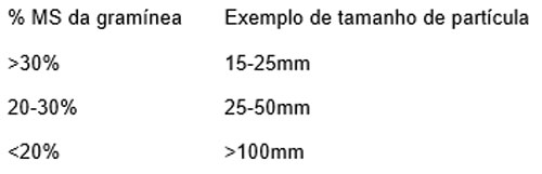 silagem-capim-tab