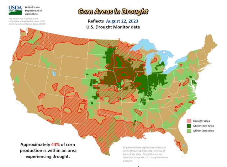 corn-belt-mapa