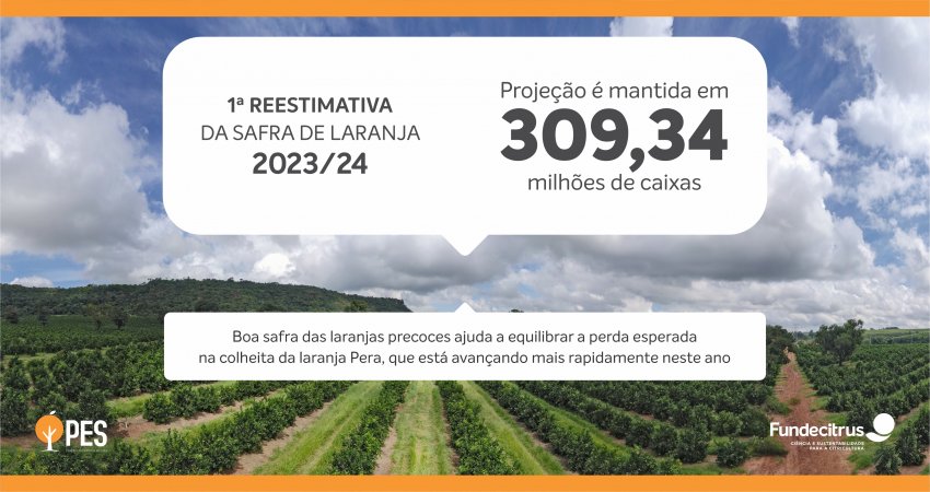 reestimativa-infografico