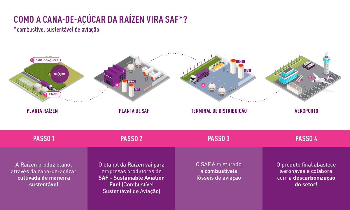 raizen-infografico