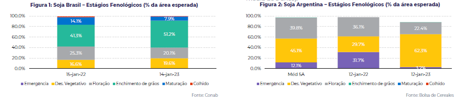 arg-br-safras-graf
