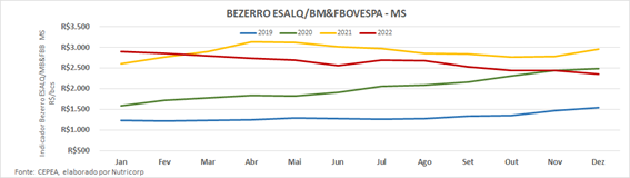 boi-mercado-retrospectiva3