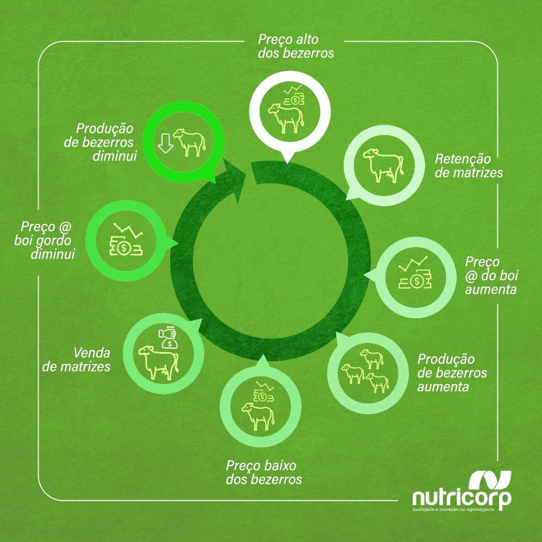 ciclo-pecuaria-nutricorp