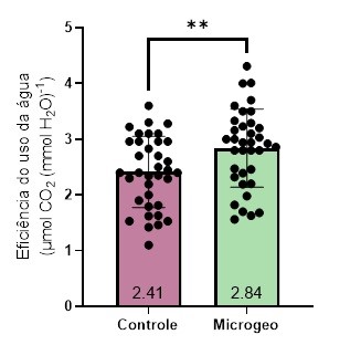 biologico-microgeo1
