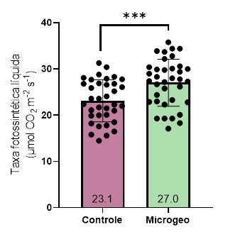 biologico-microgeo2