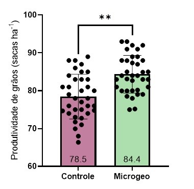biologico-microgeo3
