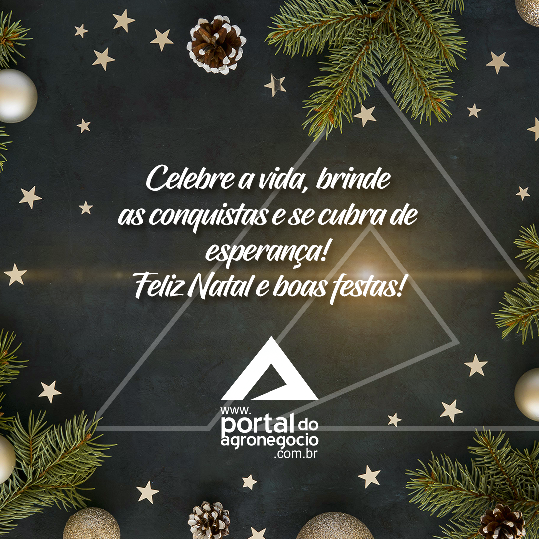 Feliz Natal e Próspero 2023 - Food Safety Brazil