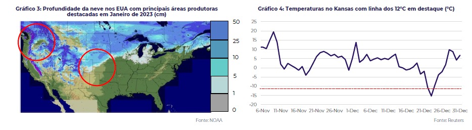 winter-kill-trigo1