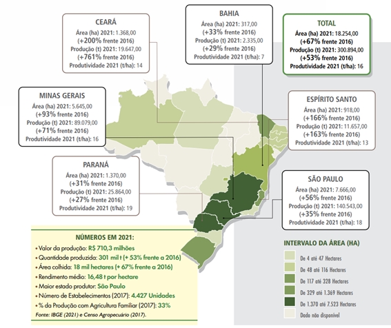 abacate-mapa