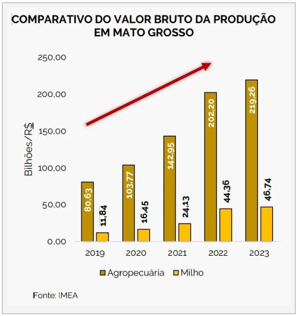 agro-imea-projecao