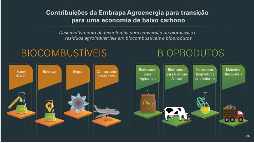 biocombustiveis-infografico