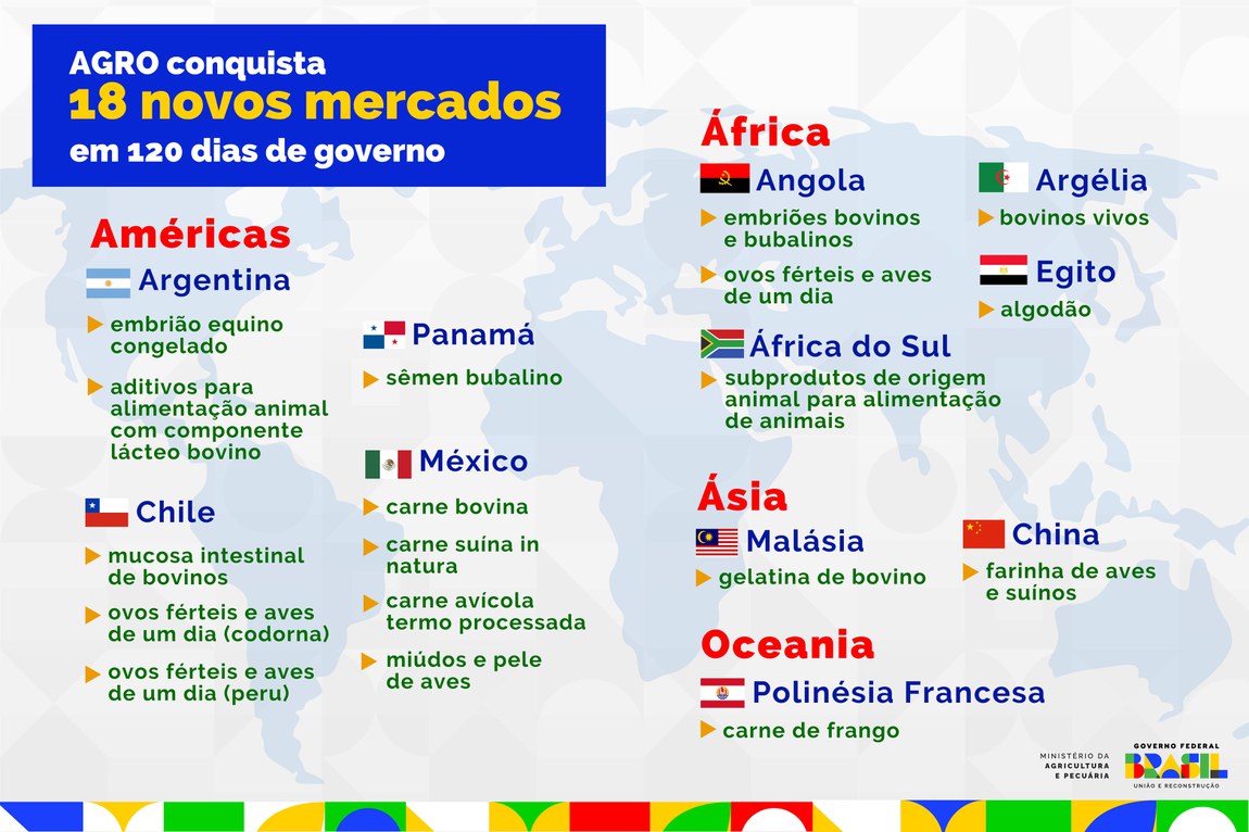 infografico-mercado-mapa