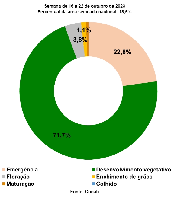 agro-plantio-feijao-tab