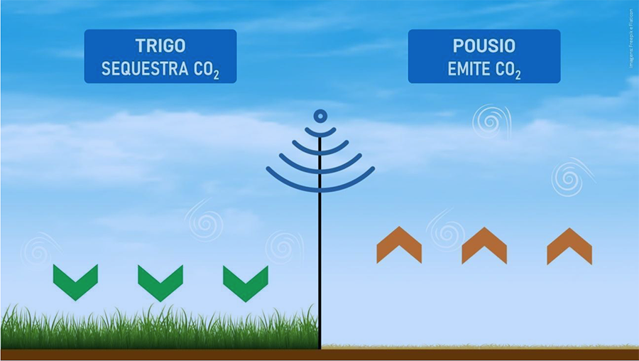 trigo-co2-graf