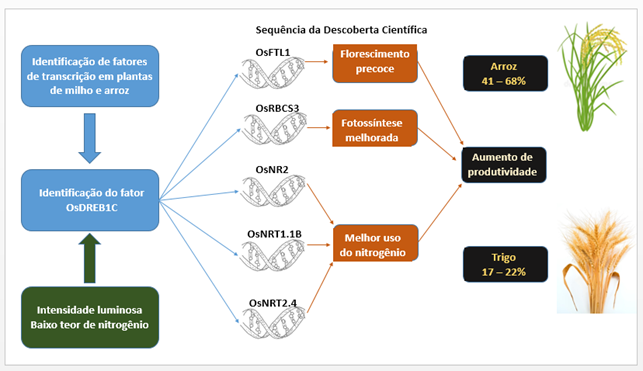 biotec-infografico