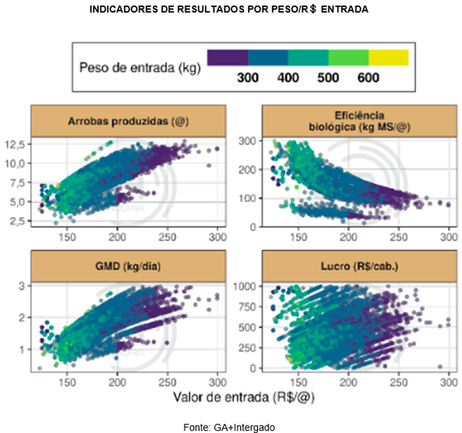 confinamento-rentavel-graf