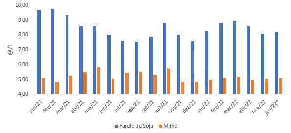 diario-confinamento-sc-2