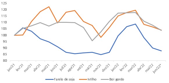 diario-confinamento-sc