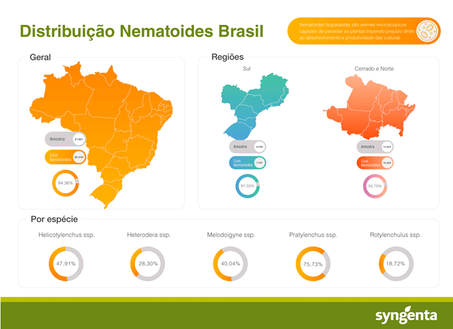 infografico-nematoide-syngenta