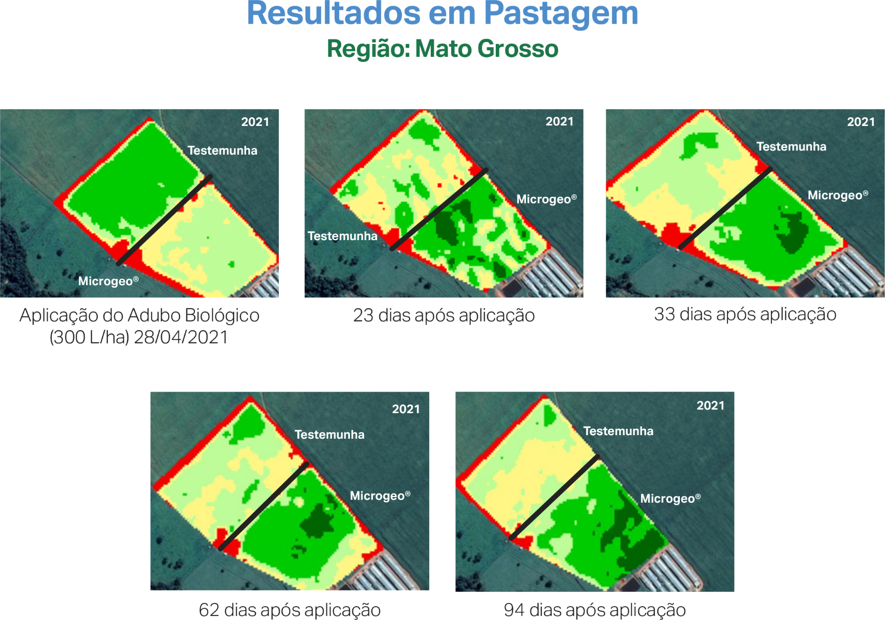 infografico-pastagem-3a